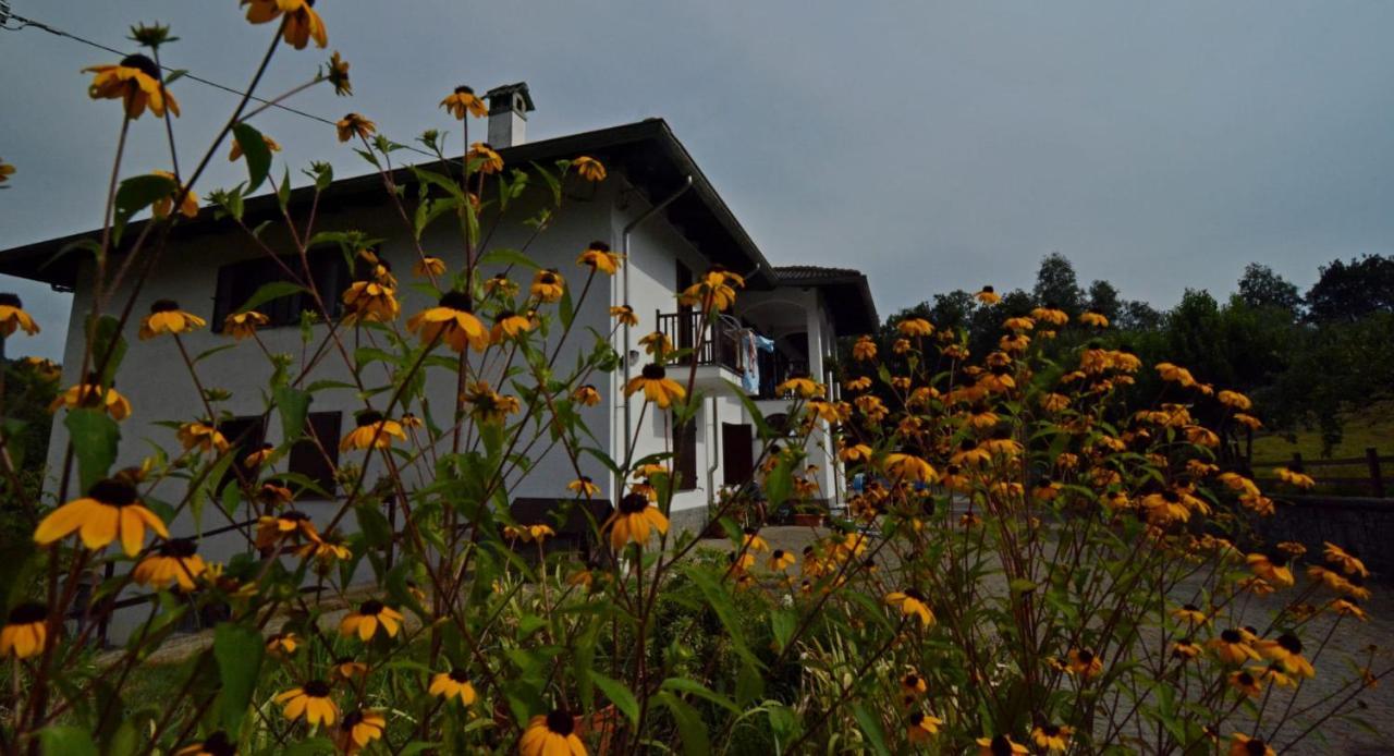 Favetto Family Ranch Bed & Breakfast Rueglio ภายนอก รูปภาพ